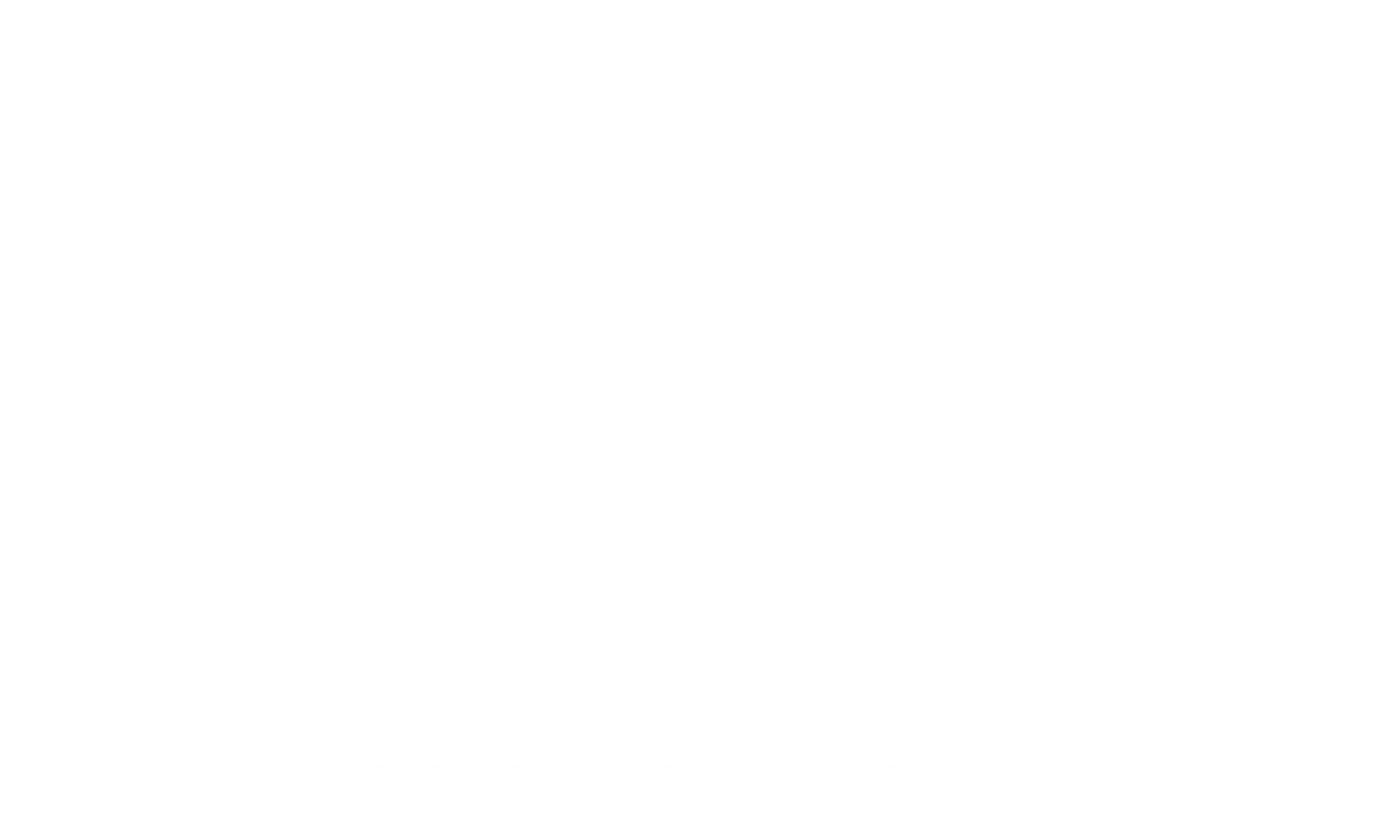 logo weiss trasparent experte 360